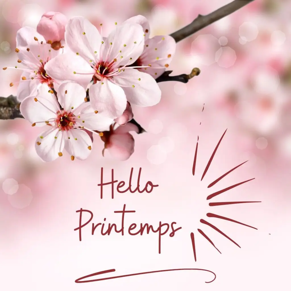 Hello Printemps soins énergétiques de Sarah