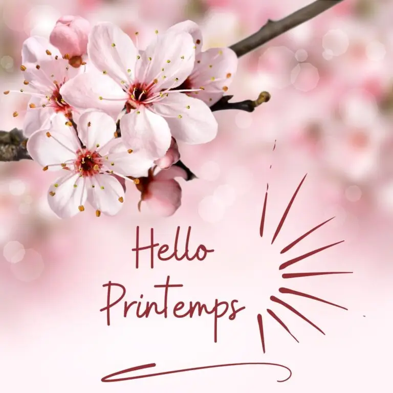 Hello Printemps soins énergétiques de Sarah