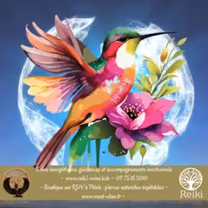 Journée internationale de la paix - Grille de la Paix Reiki - Sarah - Plérin